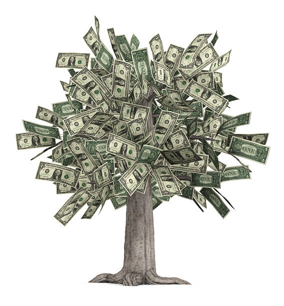 literal-money-tree-with-dollar-bills-for-leaves.jpg