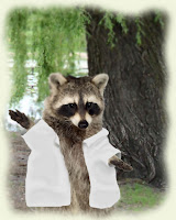 dr-raccoon.jpg