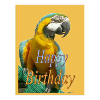 parrot_happy_birthday_customizable_postcard-r979683dda9ed4459ab5bb39a162739c2_vgbaq_8byvr_324.jpg