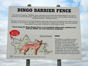dingo-dog-fence-300x225.jpg
