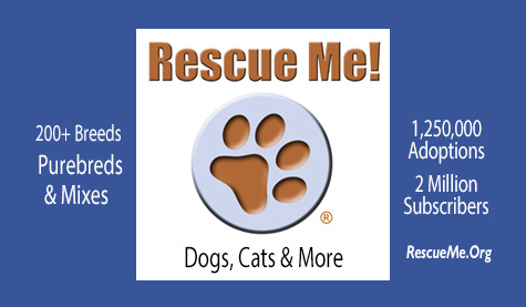 www.rescueme.org