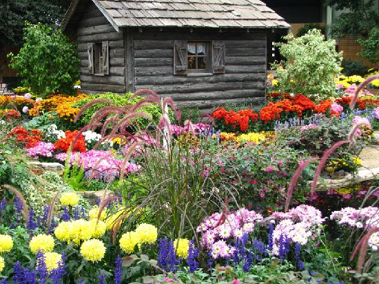cabin-in-the-garden.jpg