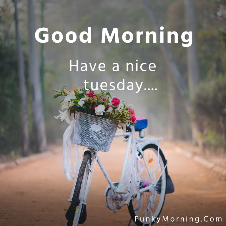 Good-Morning-Happy-Tuesday-HD-Images-Download-Free.jpg