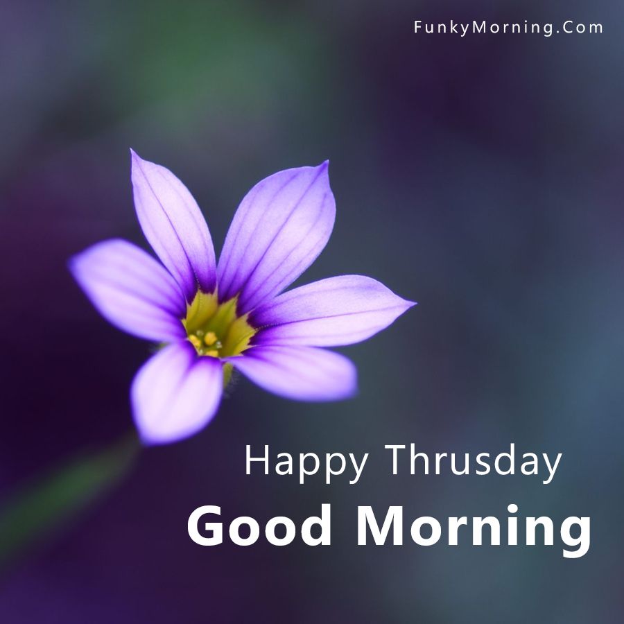 Good-Morning-Thursday-Images-Free-Download-for-Whatsapp.jpg