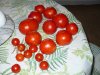 tomatoes625.jpg
