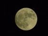 Super Moon November 2016.jpg