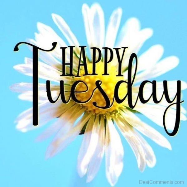 Tuesday-wishes-for-friends4-600x600.jpg